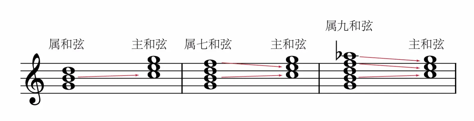 属和弦