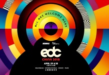 Electric Daisy Carn电音节