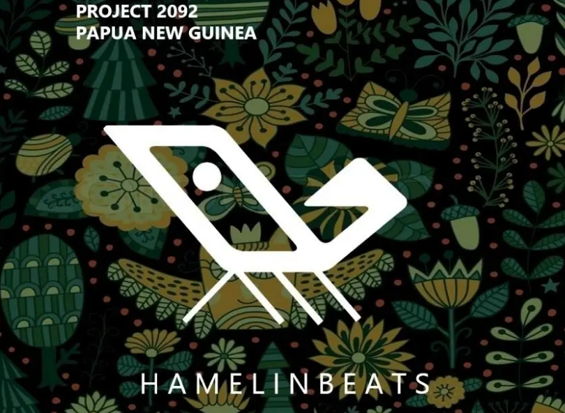 Hamelinbeats