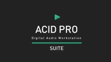 Acid Pro