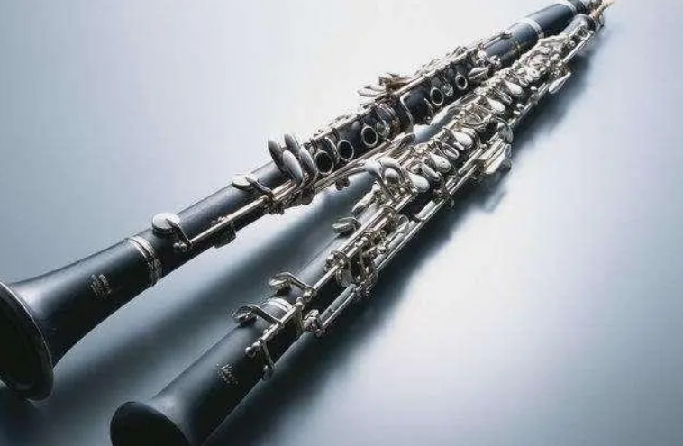 吹奏乐器难度排行？