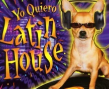 Latin House(电子音乐风格)