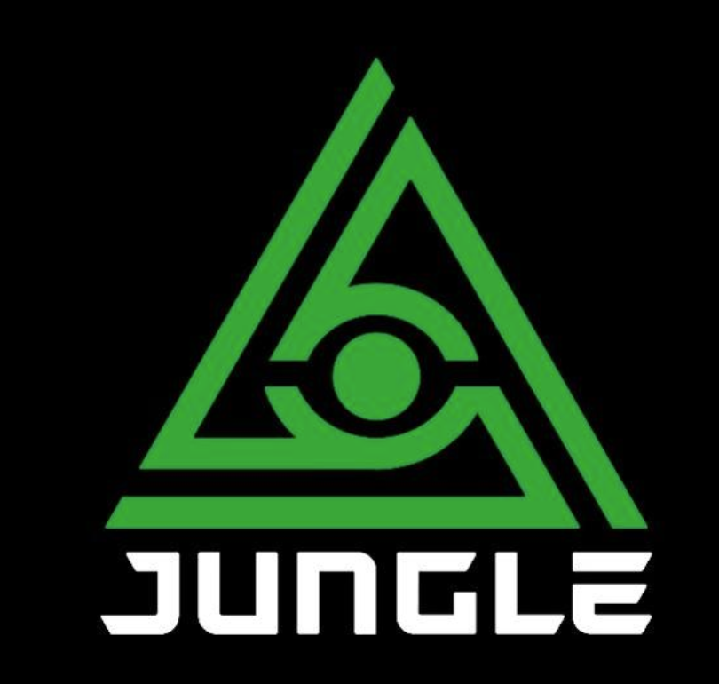 Electric Jungle Music Festival（电音节）