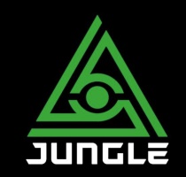 Electric Jungle Music Festival（电音节）