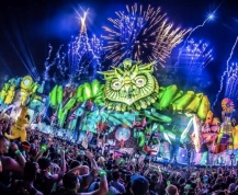 Electric Daisy Carnival（电音节）