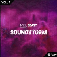 MDLBeast Soundstorm（电音节）