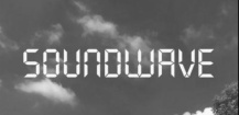 SOUNDWAVE RECORDS（电音厂牌）