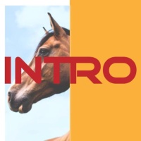 INTRO电音节