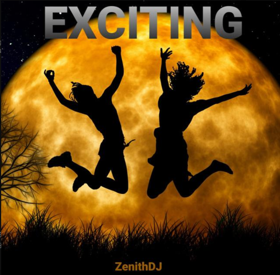 Zenith DJ