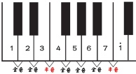 了解音阶的含义：开启音乐之门