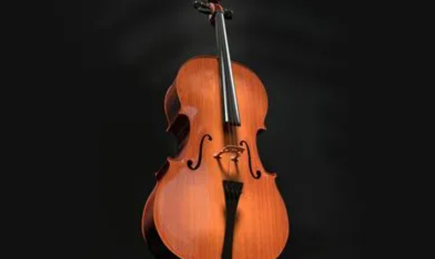 大提琴有哪些音乐结构？